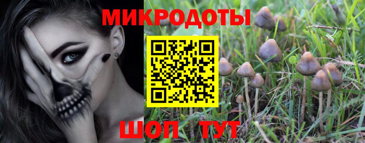 Галлюциногенные грибы GOLDEN TEACHER  Вход с VPN  Вышний Волочёк 